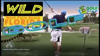 Sand Hill Crane Golf, Palm Beach Gardens, Short Video