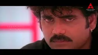 Inka Yedo Kaavalantu Video Song -  Ninne Pelladatha Movie - Nagarjuna,Tabu
