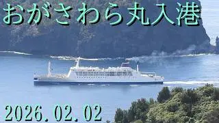 おがさわら丸入港2026.02.02