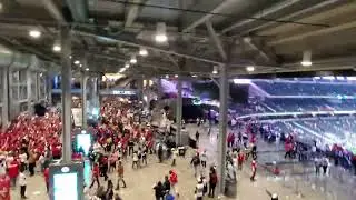 49ers Fan celebrate in Dallas