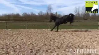 FPS (Nederland) | Doaitsen 420 | Brandus 345