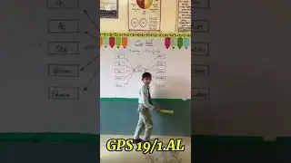 what is ACTIVITY based learning | Sarkari School