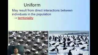 Biology I   Unit 12 1   Population Ecology
