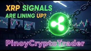 XRP Shorts Gone? David Schwartz&rsquo;s Timing Shocks the Market