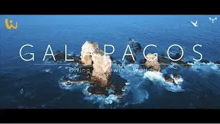 Ecuador | Galapagos | Oceans & Skies