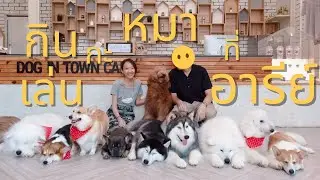 กิน-เล่นกะหมาที่อารีย์ 🐶 ||| Whereyorgo