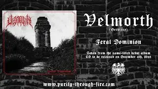 Velmorth - Feral Dominion - Trackpremiere 2025