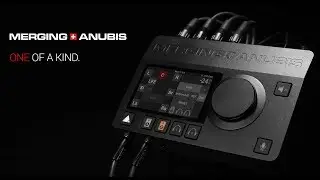 MERGING+ANUBIS | One of a Kind.