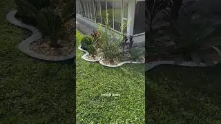 Jardim para sol pleno!🌿