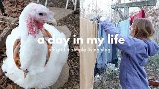 A DAY IN MY LIFE | OFF GRID LIVING VLOG