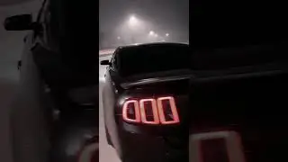 Murdered Out Bagged 13 Mustang Walk Around! #mustang  #murderedout #airliftperformance #mustangs