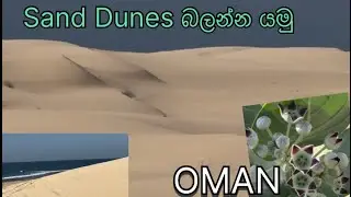 ඔමානයේ Sand dunes බලන්න යමූ, Beautiful sand dunes in a coastal area සලාලා ඔමාන් 
