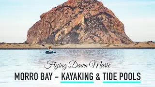 285: Exploring Morro Bay: Tide Pool Treasures & Kayaking with Sea Otters (Perfect Day in Morro Bay)