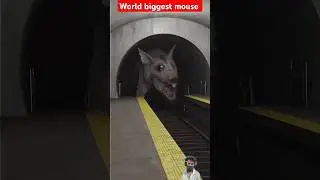Monster Mouse 🐭 #shorts #scary #monster