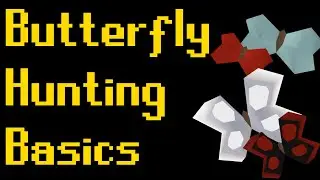 Basic Butterfly Hunting Guide 2020 (OSRS)
