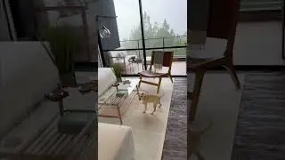 6AM Wake Up - Colombia - Solo Retired Female - Expat Life