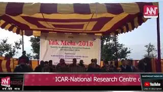 ICAR-NRCY organises Yak Mela to promote yak farming