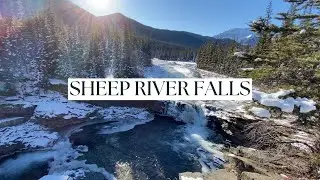 SHEEP RIVER FALLS in the winter | lots of wildlife sightings