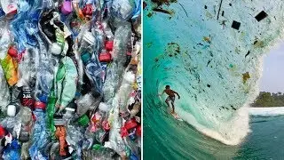 My War On Waste!