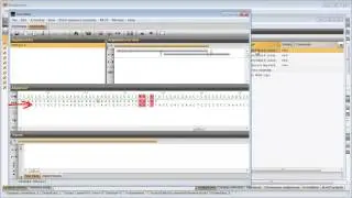Import and assemble MLST sequencer trace files (BioNumerics 7.5 & 7.6)