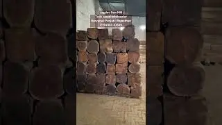 Jagdev Saw Mill (Haryana, Punjab & Rajasthan) Teak Wood or Sagwan wood wholesaler supplier