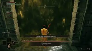 Rat Adventures With The Pink One (Elden Ring)