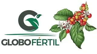 Tratamento fullgreen&reg; para caf&eacute; (3)