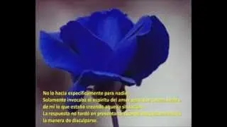 Ho'oponopono ,terapia de Amor Limpia y recibe