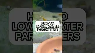 How to lower PH, GH, and KH for my fishtank (Easiest way)#fishtank #aquarium #fishkeeping #fishcare