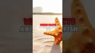 3 weird facts about starfish you didn&rsquo;t ask for 🤯