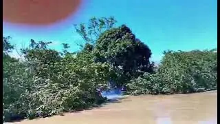 El r&iacute;o Meta se desbord&oacute; y afect&oacute; a la vereda Caracaro en Orocu&eacute;