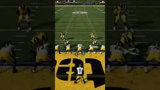 Chris Boswell 99 yd td