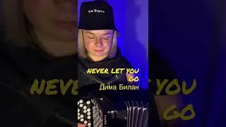 Только хиты! # #рекомендации #music #cover  #баян #musican #гармонь #билан #димабилан #neverletyougo