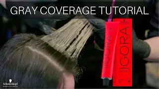 Как закрасить седину и выровнять цвет волос с помощью краски IGORA ROYAL | Schwarzkopf Professional