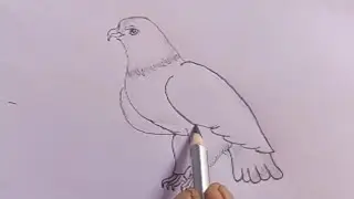 How to draw,how to draw eagle,bald eagle sketch@drawingwithtiti