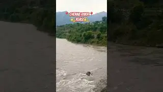 Water flow of Chenab River after rain🌧️..... #shortvideo #reasi #chenabriver #mountains