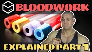 How Often & Which BLOOD WORK MARKERS Should You Test For? PART 1 feat. @Marek Health