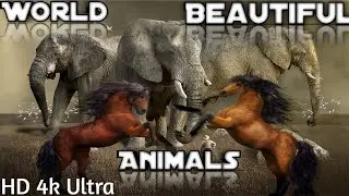New Beautiful Animal video 2021./// Amazing and Awesome Animal video.