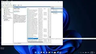 How To Stop Windows Update[වින්ඩෝස් යාවත්කාලීන කිරීම නවත්වන්නේ කෙසේද]