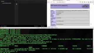Docker Container with Nginx/PHP