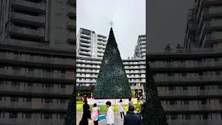 [20251122] Christmas Tree Light Show @ Richmond Centre Plaza
