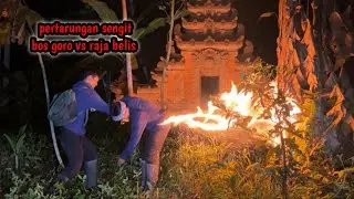 MERINDING ‼️ JURUS BARU BOS GORO