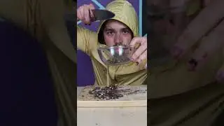 ACookNamedMatt Cutting Chocolate ASMR