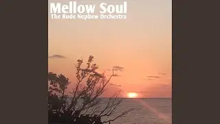 Mellow Soul