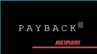 HOW TO PLAY MULTIPLAYER IN PAYBACK2