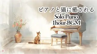 【1時間 BGM 】ピアノと猫に癒される｜リラックス / 睡眠 / 作業用 / 癒し｜