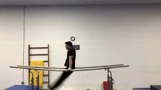 Diamidov Progress
