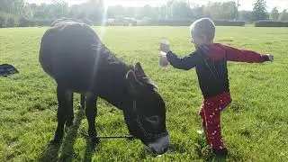 Onoterapia & Super Konrado Zesp&oacute;ł Downa