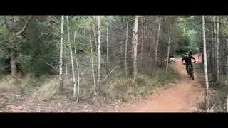 CREW DH VALENCIA EN ESTADO PURO