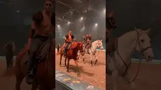 one more day til the Premiere😍 #cavalluna #horse #pferdeshow #horseshow #pferd #countdown #tour